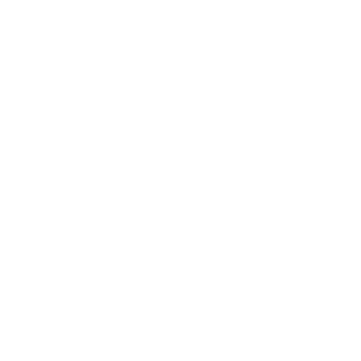 BF NEW LOGO WHITE